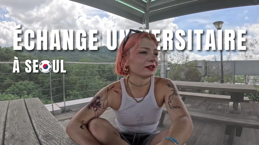 Suite à son échange universitaire à Séoul, Eva nous raconte tout, comment postuler à l'unniversité, trouver un appartement à Séoul, ses conseils et ses galères.