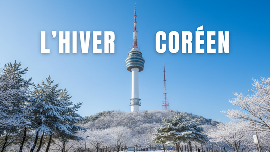 L'hiver en corée du sud, les conseils pour survivre et les activités à faire.
