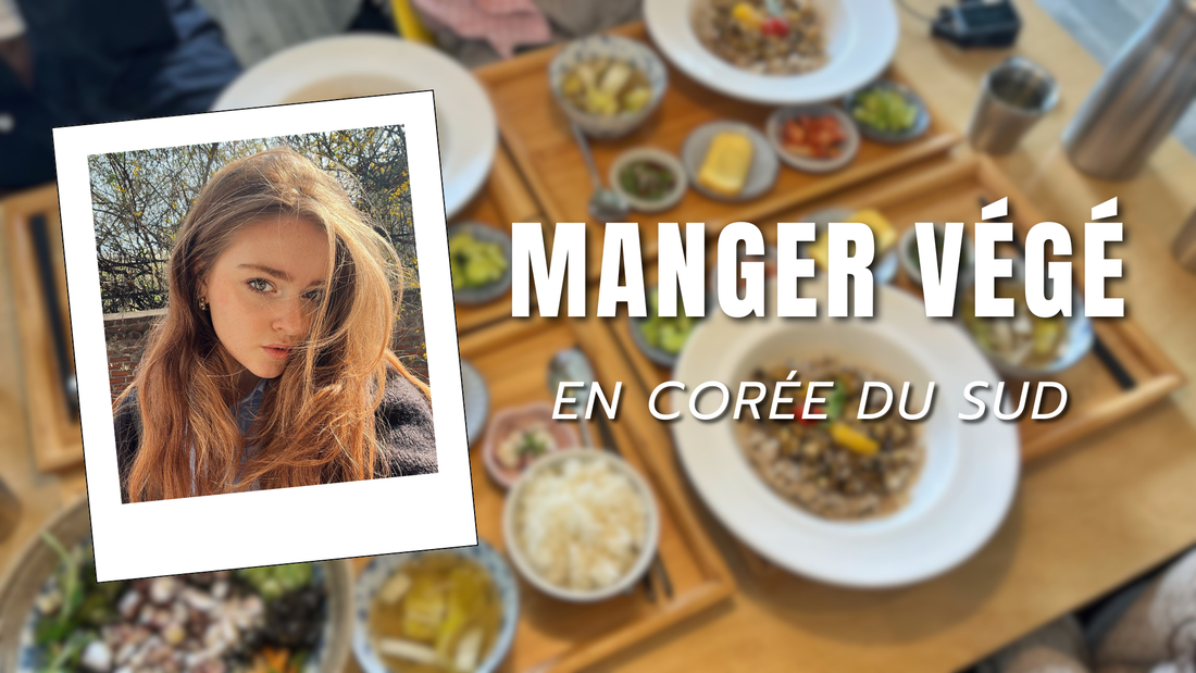 Manger sans viande en Corée du Sud, est-ce possible ? Article de @rainvelvet qui nous donne toutes ses adresses végétarienne et vegan à Séoul et ses conseils pour s'adapter au pays.