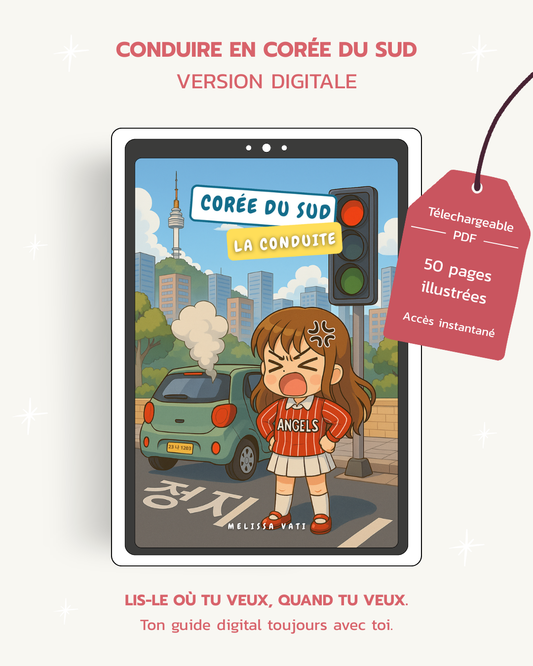 Conduire en Corée du Sud – Le guide pratique (VERSION DIGITALE)