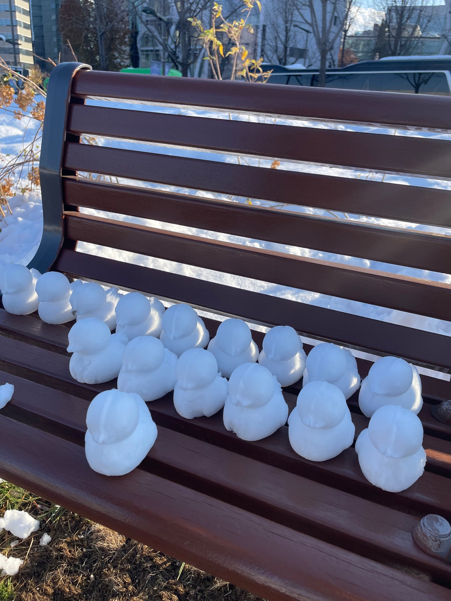 Canards de neige en Corée du Sud à Séoul dans le quartier de Insadong.