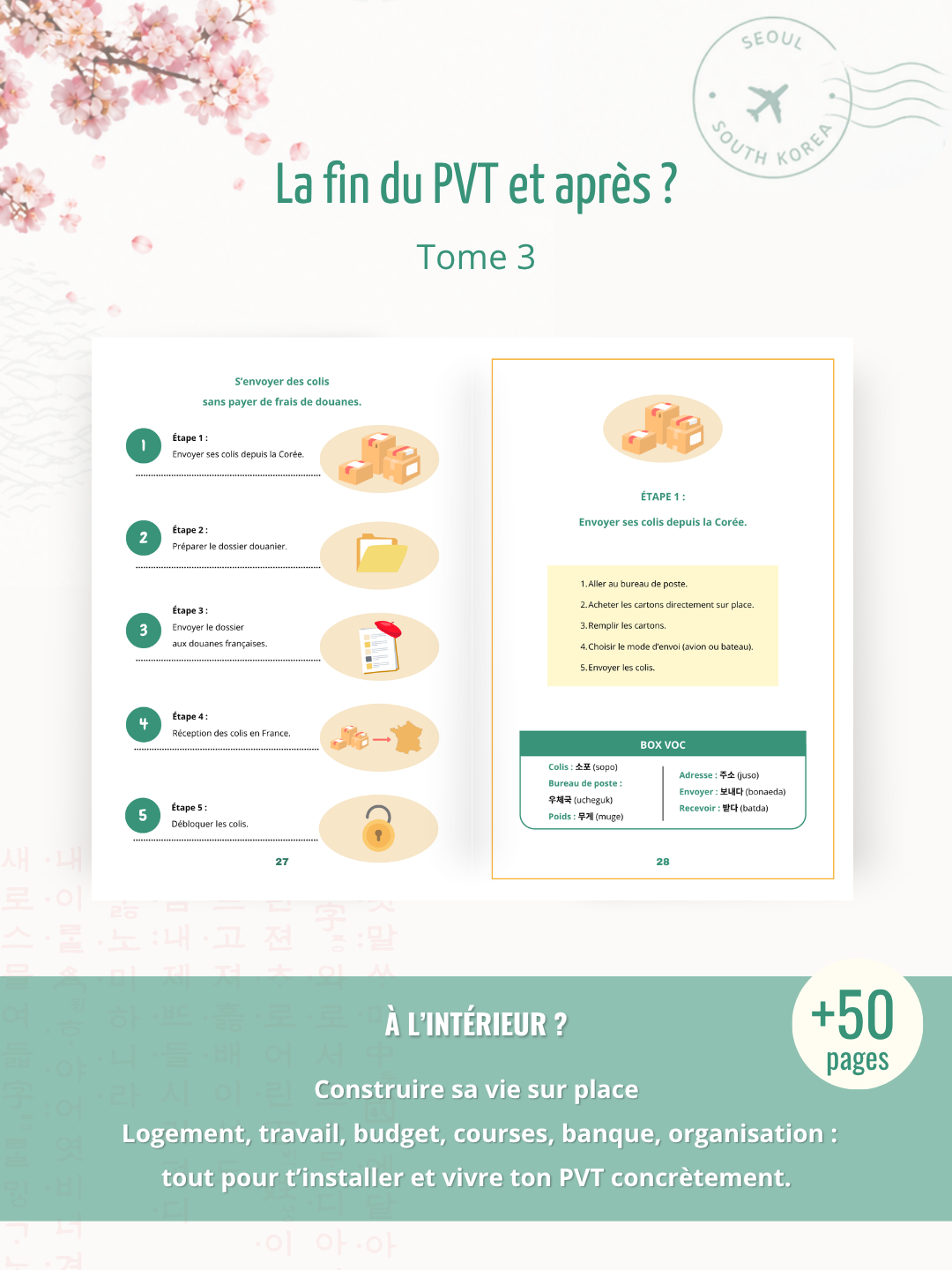 Le PVT en Corée du Sud, tout ce qu'il faut savoir pour être bien préparé.