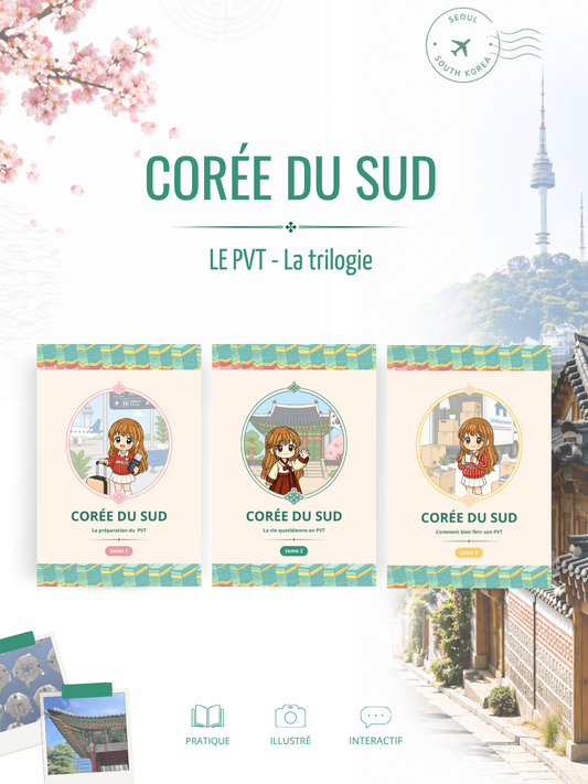Le PVT en Corée du Sud, tout ce qu'il faut savoir pour être bien préparé.